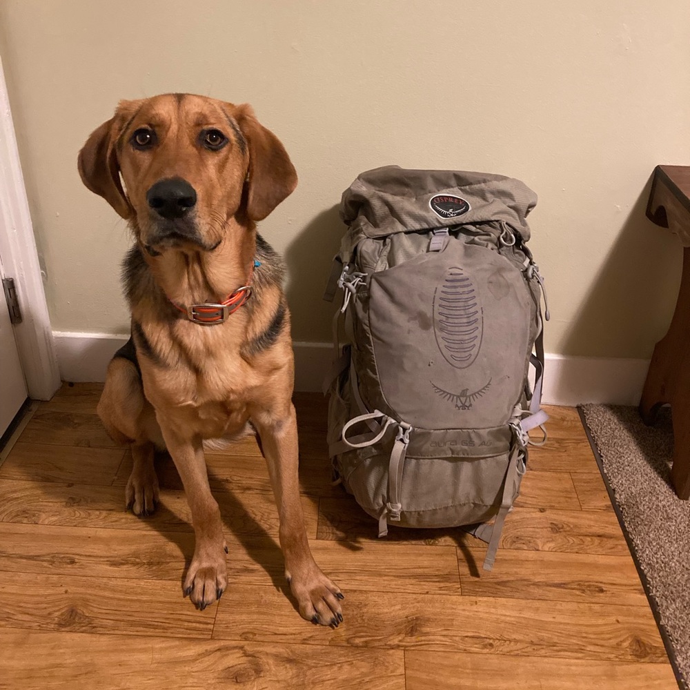 Osprey aura 65L pack with rain cover included